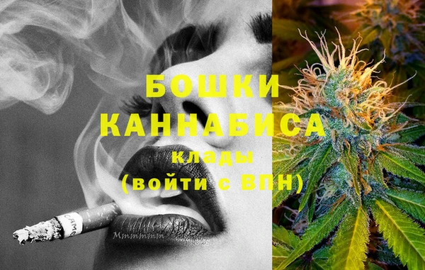 шишки Алзамай